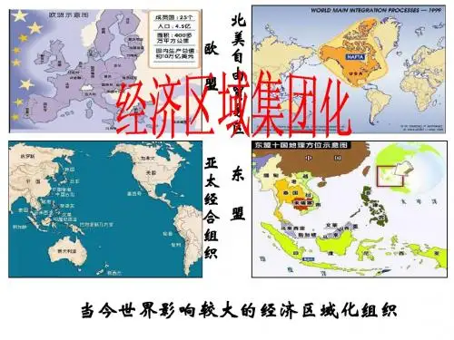 经济区域集团化