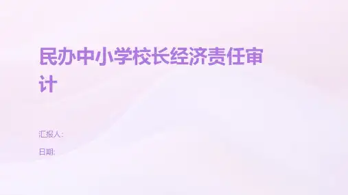 民办中小学校长经济责任审计