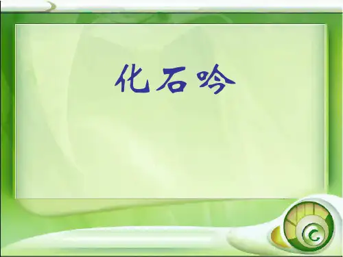 《化石吟》课件
