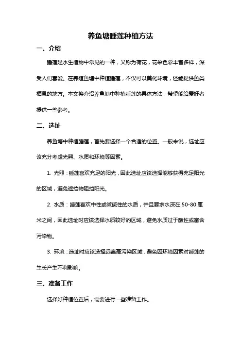 养鱼塘睡莲种植方法