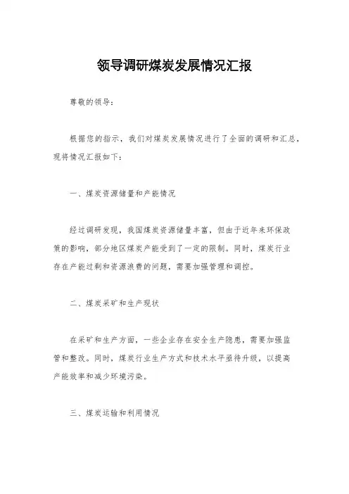 领导调研煤炭发展情况汇报