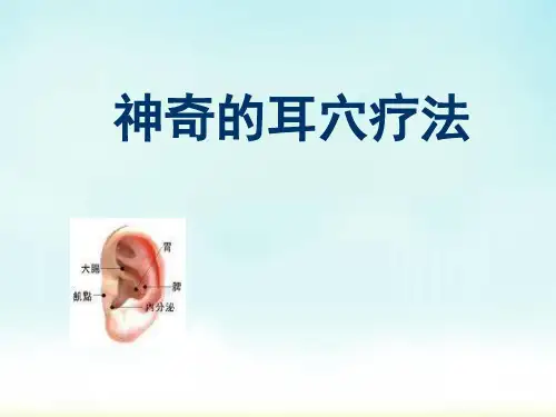 耳穴PPT医学课件【40页】