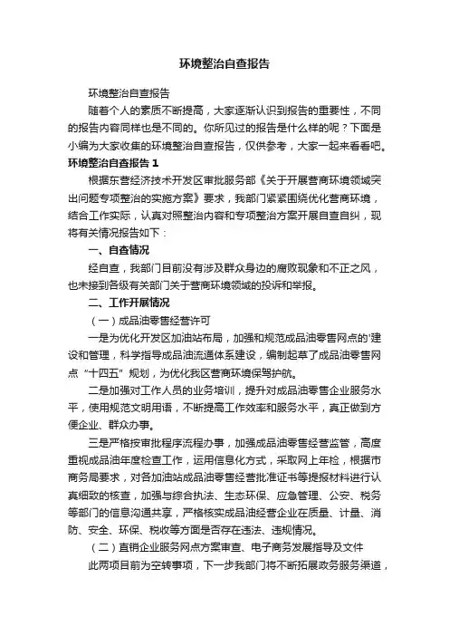 环境整治自查报告
