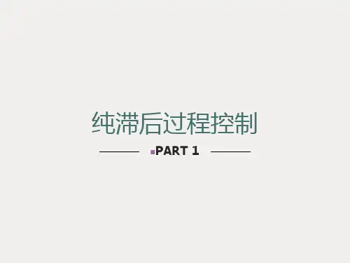 纯滞后过程控制