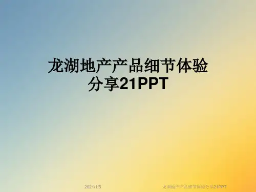 龙湖地产产品细节体验分享21PPT