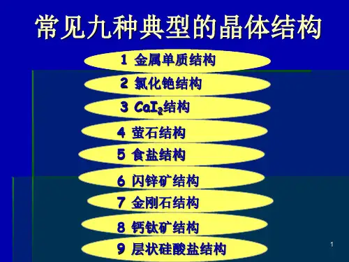 常见九种典型的晶体结构PPT课件