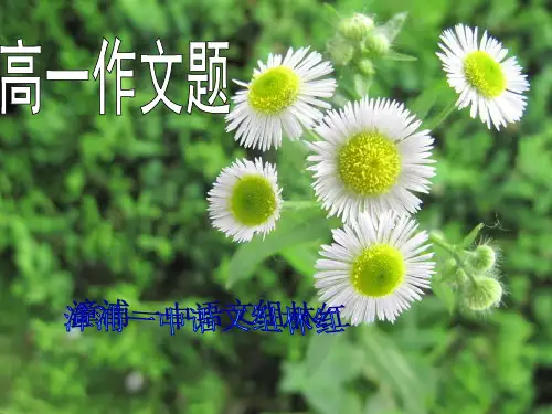 高一作文题：那一刻,我读懂了——精品课件