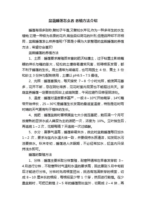 盆栽睡莲怎么养养植方法介绍