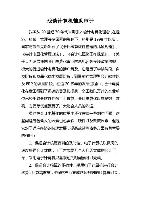浅谈计算机辅助审计