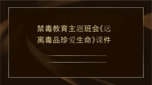 禁毒教育主题班会《远离毒品珍爱生命》课件
