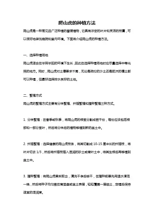 爬山虎的种植方法