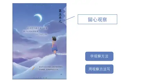 15.《搭船的鸟》课件(共20张PPT)