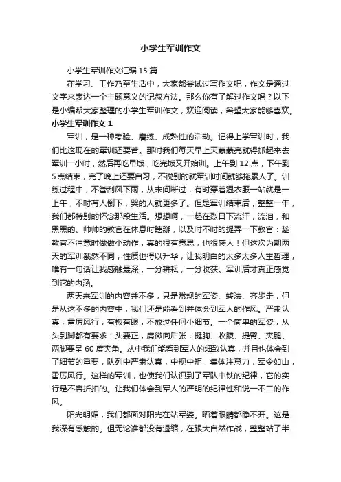 小学生军训作文