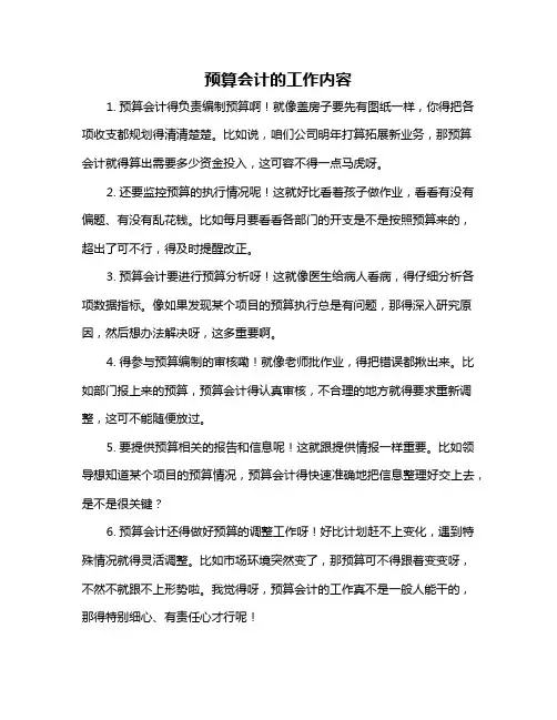 预算会计的工作内容