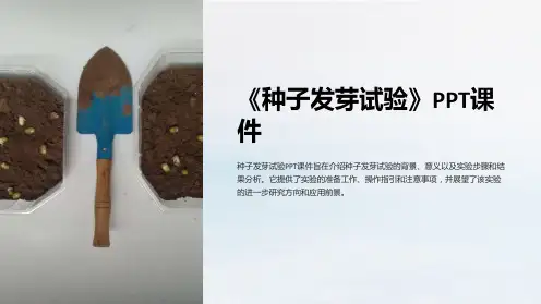 《种子发芽试验》课件