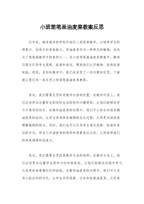 小班简笔画油麦菜教案反思