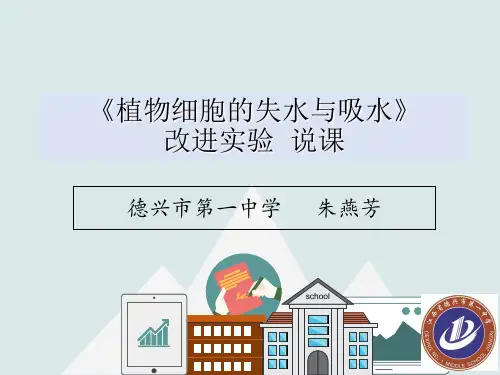 观察植物细胞的吸水和失水改进实验说课稿PPT精品文档