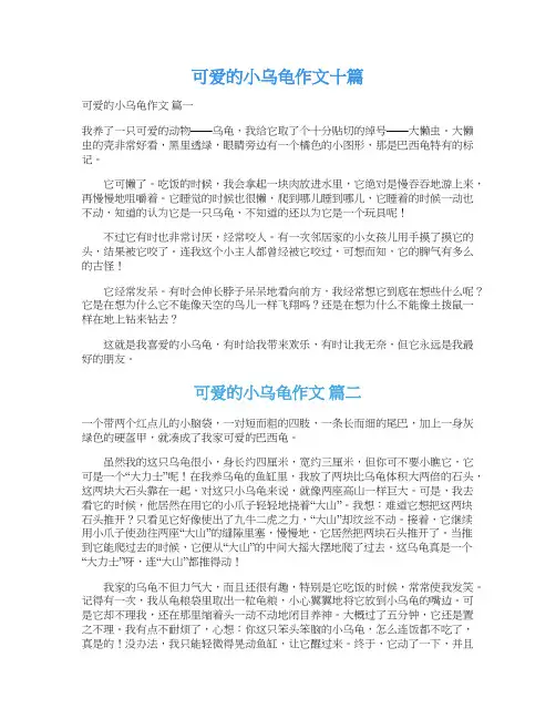  可爱的小乌龟作文十篇