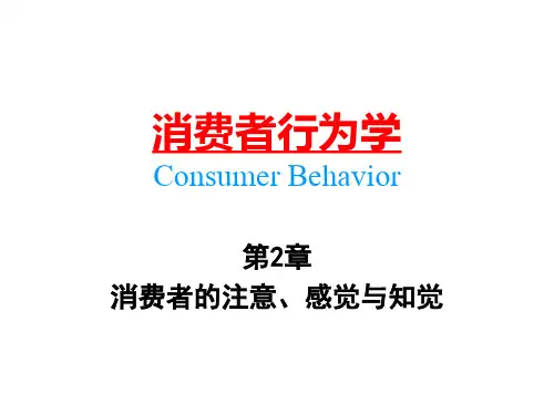中南大学《消费行为学》第2章 消费者的注意、感觉与知觉