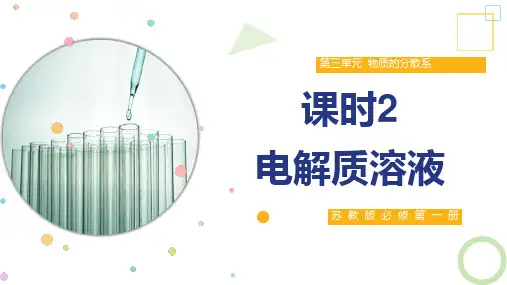 1.3.2 电解质溶液 课件(共20张ppt)高一化学苏教版(2019)必修第一册