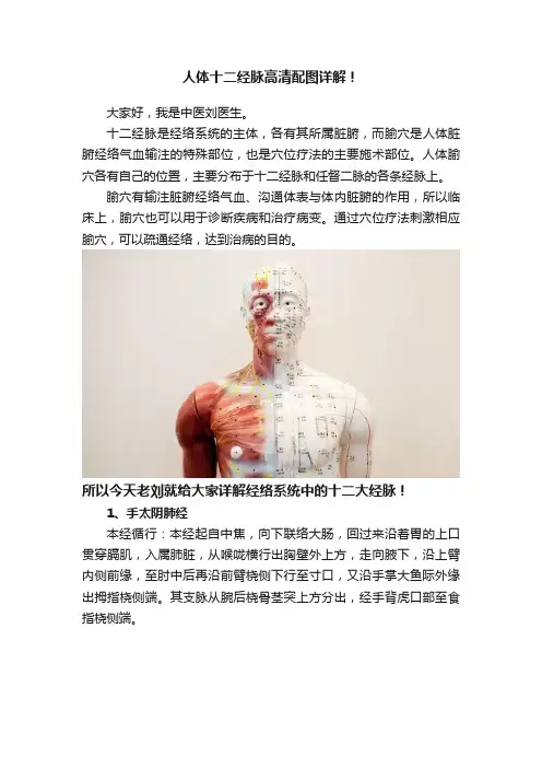 人体十二经脉高清配图详解！