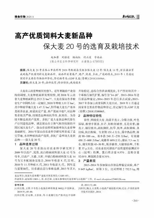 高产优质饲料大麦新品种保大麦20号的选育及栽培技术