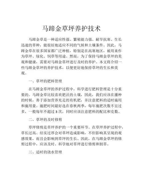 马蹄金草坪养护技术