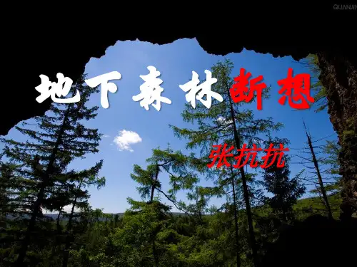 《地下森林断想》课件ppt文档