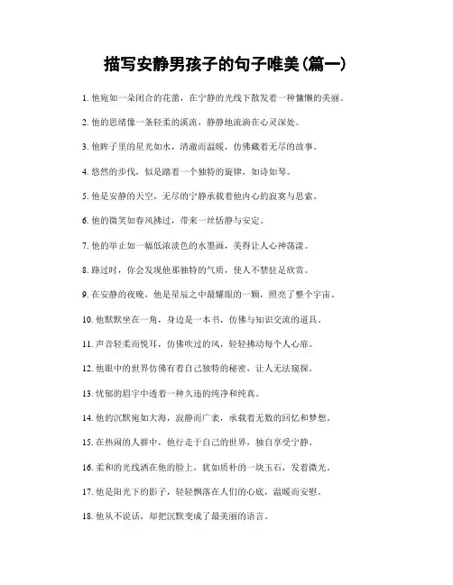 描写安静男孩子的句子唯美(精选两篇)