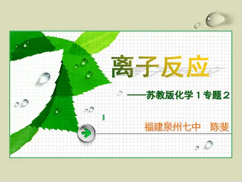鲁科版离子反应精美课件1