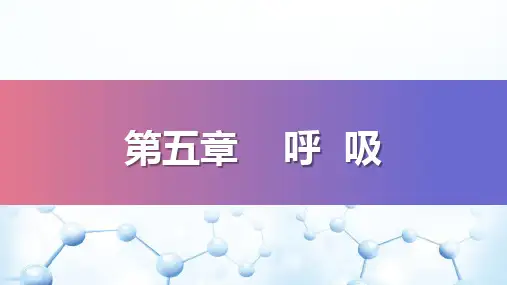 呼吸—肺换气与组织换气(生理学课件)