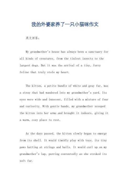 我的外婆家养了一只小猫咪作文