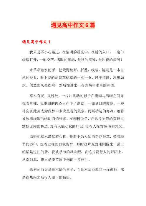 遇见高中作文6篇