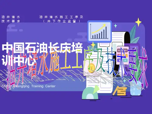 油井堵水施工工序及技术要求