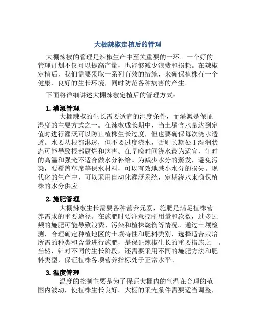 大棚辣椒定植后怎样管理