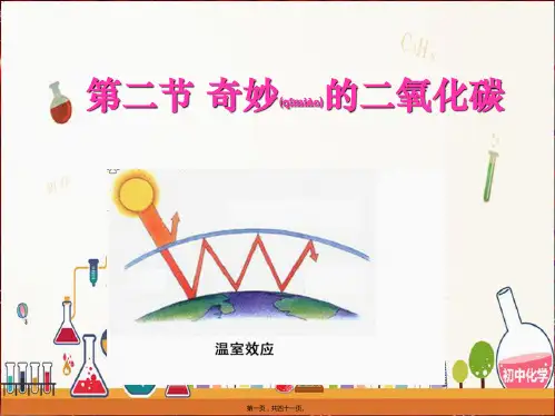 九年级化学上册第2章身边的化学物质2.2奇妙的二氧化碳