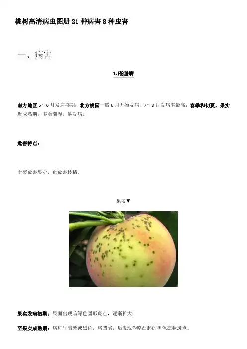 桃树高清病虫图册21种病害8种虫害
