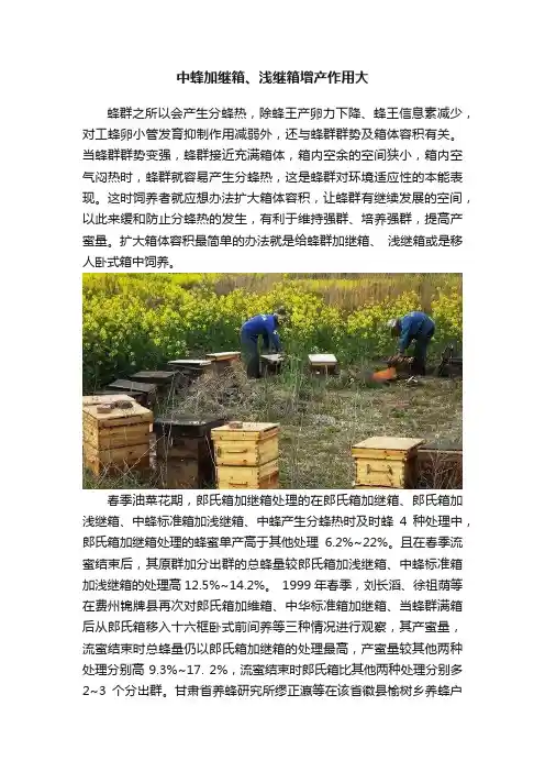 中蜂加继箱、浅继箱增产作用大
