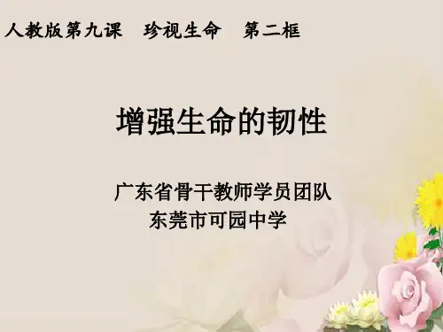 增强生命的韧性ppt优秀课件9(3份) 人教版