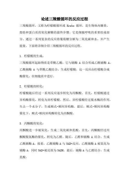论述三羧酸循环的反应过程
