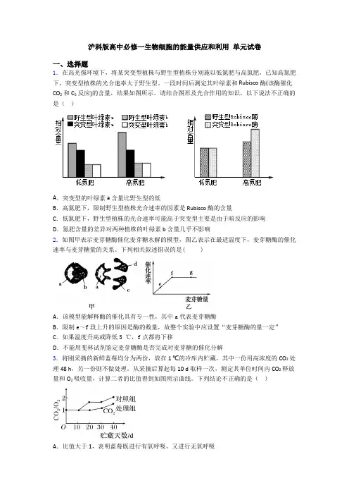 沪科版高中必修一生物细胞的能量供应和利用 单元试卷