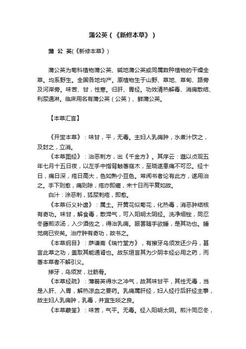 蒲公英（《新修本草》）