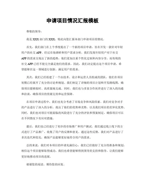 申请项目情况汇报模板