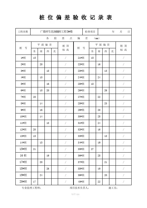 桩位偏差验收记录表