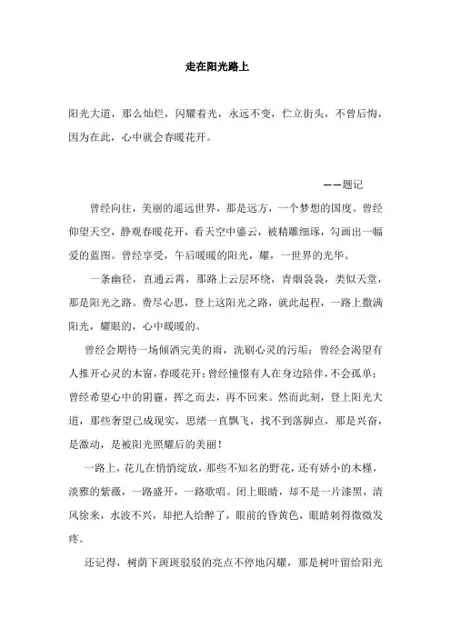 作文范文《走在阳光路上》