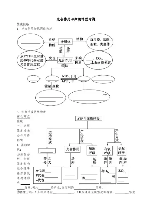 光合呼吸专题学案