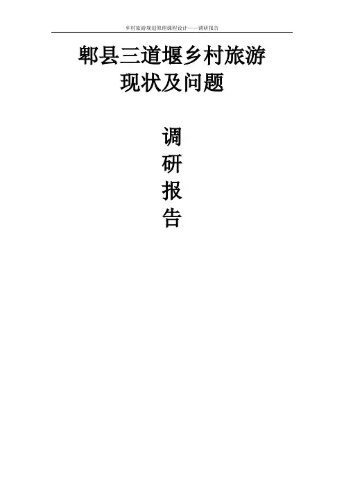 三道堰旅游调研报告--