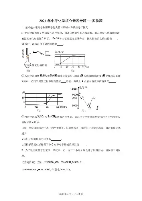 2024年中考化学核心素养专题---实验题 