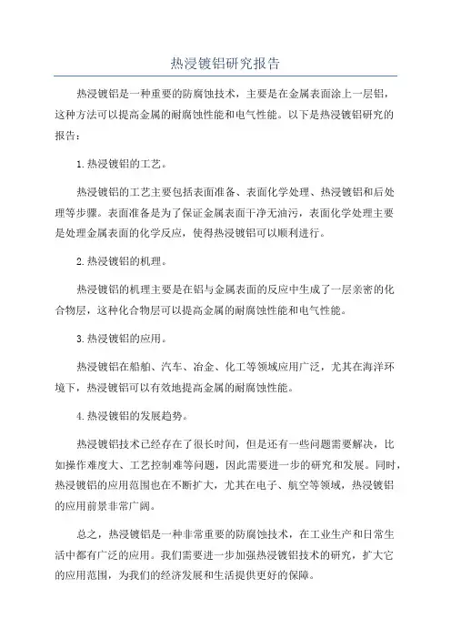 热浸镀铝研究报告