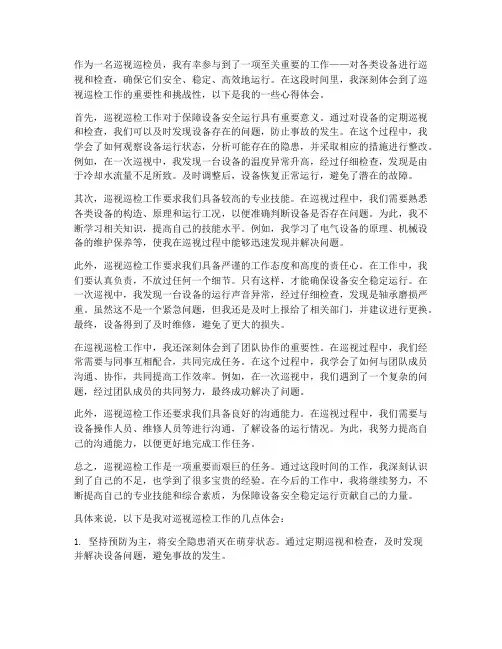 巡视巡检工作心得体会